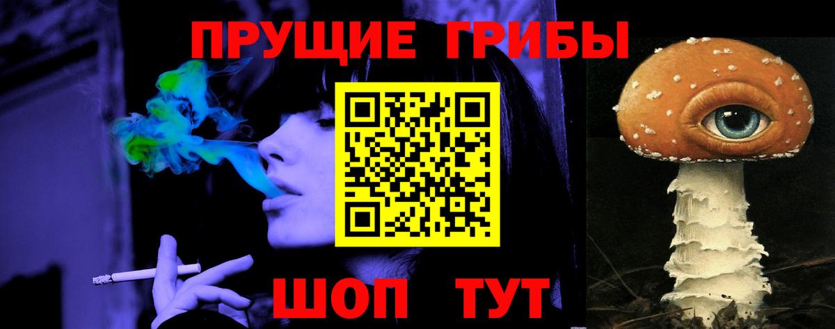 Белово  Галлюциногенные грибы Psilocybine cubensis  Вход с VPN 