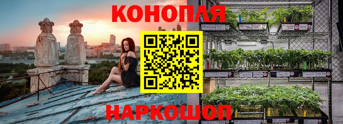 Конопля марихуана Белово
